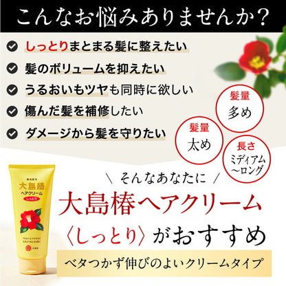 OSHIMA TSUBAKI MOIST HAIR CREAM 160G