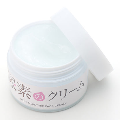 ISHIZAWA SUKOYAKA SUHADA UREA MOISTURIZING FACE CREAM 60G