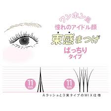 SHOBIDO DECORATIVE EYELASH - 2 TYPES