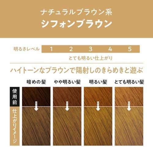 Kao Liese Prettia Bubble Hair Color Chiffon Brown