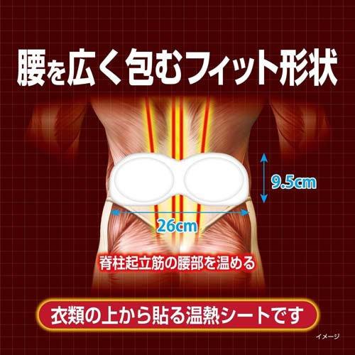 Kobayashi Waist Hot Compress Physiotherapy Patch 5 Pieces