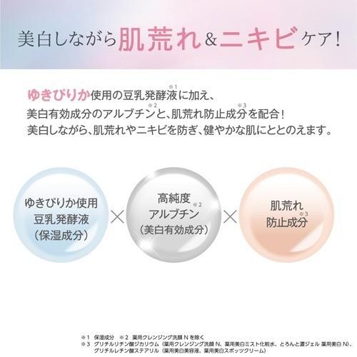 Sana Nameraka Honpo Spots Cream, Serum, 19g