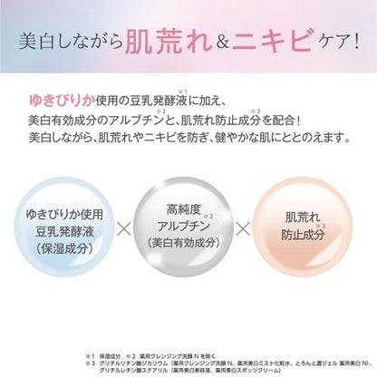 Sana Nameraka Honpo Spots Cream, Serum, 19g