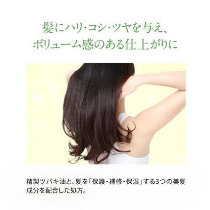 OSHIMA TSUBAKI EXCELLENT TREATMENT 200G